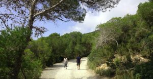 Wandern auf Ibiza