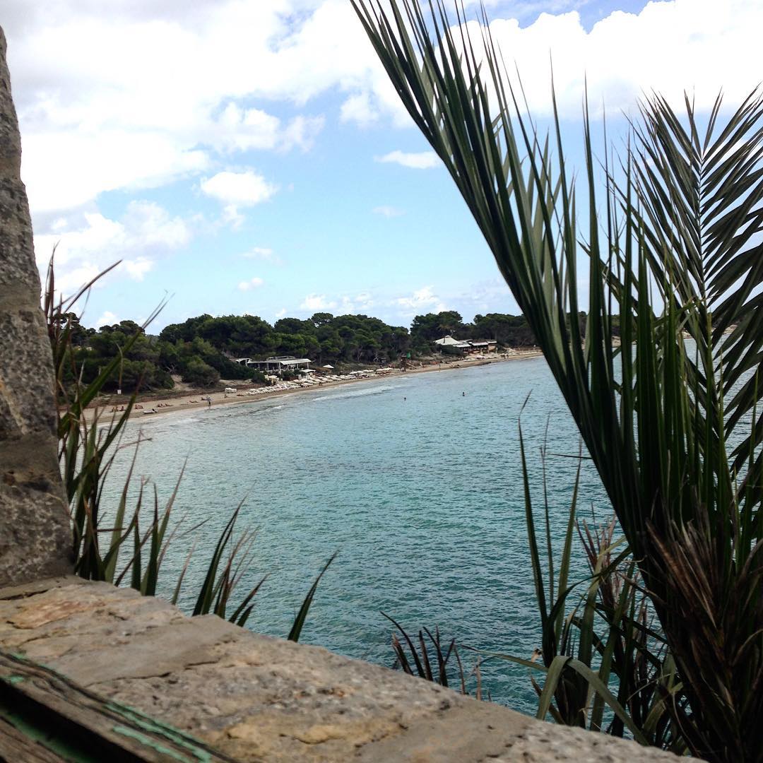 Nice view over Salinas Beach from La Nave art gallery 🏝#beachview #salinas #playa #ocean #holiday #spain #igersibiza #igers #southcoast #ibz #ibiza2017 #instatravel #clouds #palmtrees #ibizadiary #lanave #salinasibiza, La Nave Ibiza