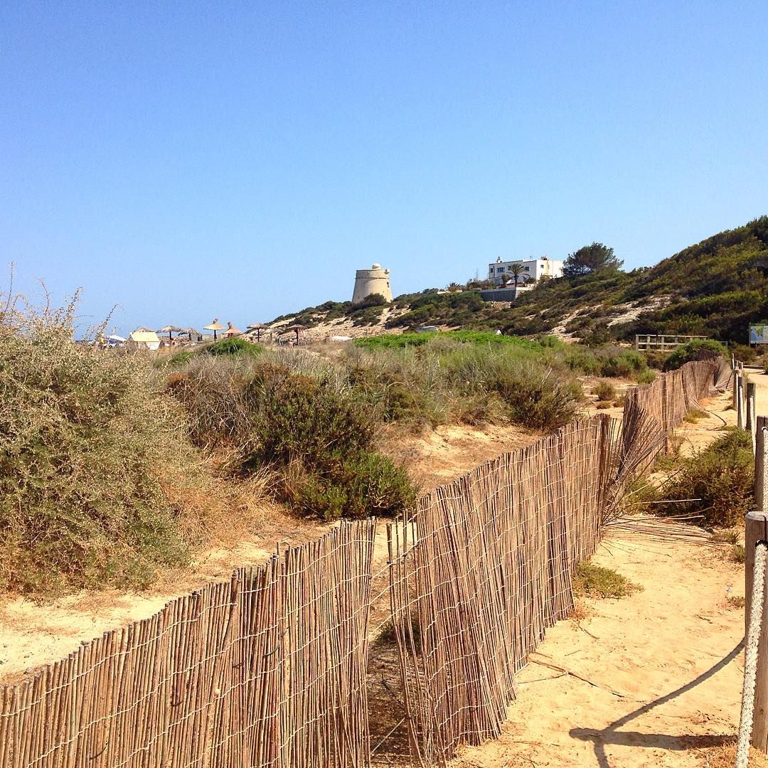Take a walk at Playa d‘en Bossa, the tourist free zone at this time of the year! 🤩 #playadenbossa #ibiza #walk #offseason #nature #ibizawinter #dunes #sand #happy #instabeach #ibizaplaya #travel #weekend #instatravel #like4like #like #goodtimes #ibizadiary, Playa D’en Bossa, Ibiza
