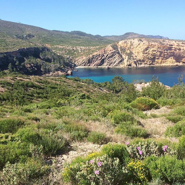 One of Ibizas last real secret spots is the beach of Playa Es Canaret. Take the adventure and discover it 🤗 #ibiza #secretbeach #ibizaplaya #secret #spring #sun #nature #outdoor #hiking #instahike #goodtimes #sunday #green #seaview #like #enjoy #ibizadiary #hikingram, Ibiza Norte