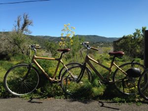 Bamboo Bikes Ibiza