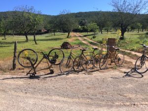 Fahrradtour auf Ibiza mit Bambusbikes
