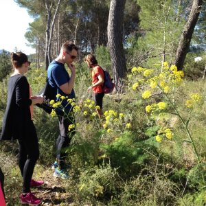 Ibizas essbare Wildpflanzen probieren