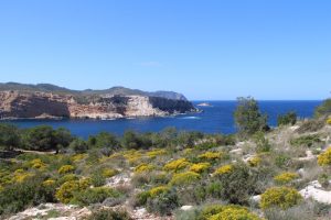 Cova de Llevant Höhle Ibiza